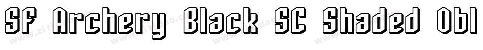SF Archery Black SC Shaded Oblique字体转换